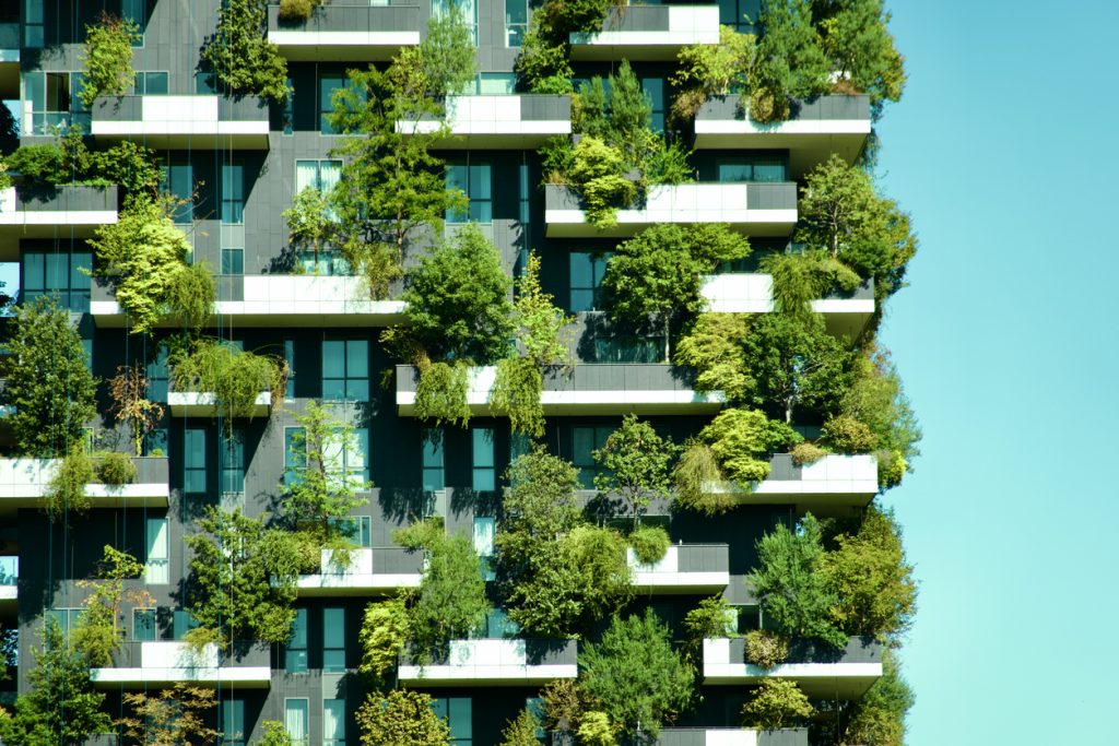 investindo no futuro: sustentabilidade e crescimento a longo prazo